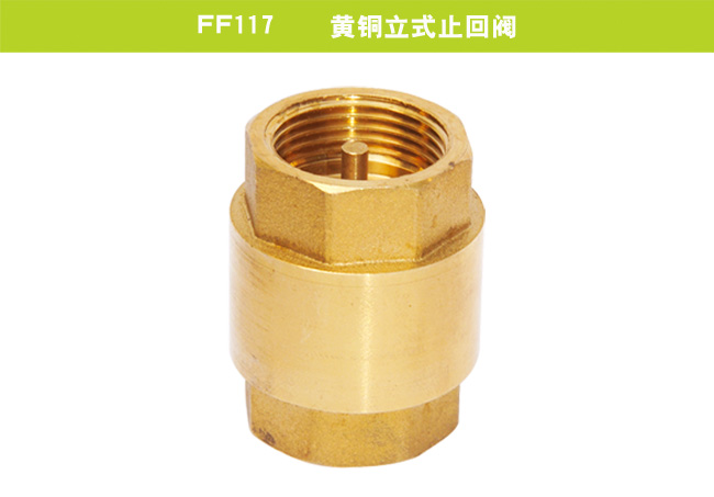 FF117    黄铜立式止回阀