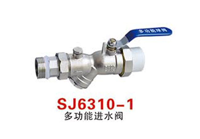 SJ6310-1多功能进水阀